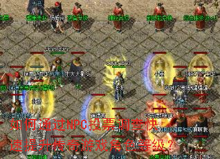 如何通过NPC投票调查快速提升传奇游戏角色等级? 如何通过NPC投票调查快速提升传奇游戏角色等级?