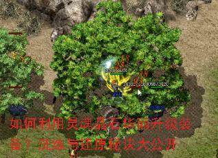 ���������꾧ʯ��������װ����ϴ���뻹ԭ�ؾ��󹫿�