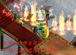 ��������ϲ���һ�������ִ������Ϯ��ɳ�Ϳ˳�����