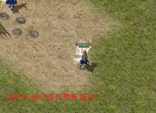 ��ο����þ�������ƪ�£�