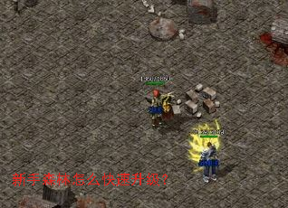 ����ɭ����ô����������