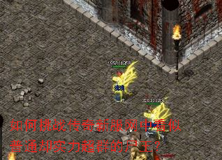 �����ս�����·����п�����ͨȴʵ����Ⱥ��ʬ����