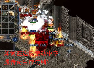 如何在边境跑动中掌握传奇生存法则? 如何在边境跑动中掌握传奇生存法则?