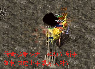 传奇私服破天怎么玩?新手如何快速上手成为大神? 传奇私服破天怎么玩?新手如何快速上手成为大神?
