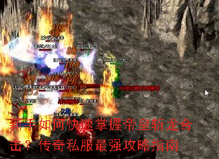 ������ο������յۻ�ն���ϻ�������˽����ǿ����ָ��