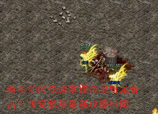 ������ο������յۻ�ն���ϻ�������˽����ǿ����ָ��