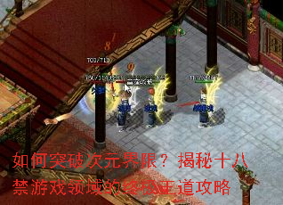 如何突破次元界限?揭秘十八禁游戏领域的终极王道攻略 如何突破次元界限?揭秘十八禁游戏领域的终极王道攻略