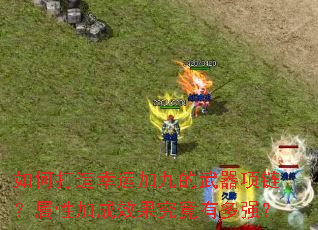 ��δ������˼Ӿŵ��������������Լӳ�Ч�������ж�ǿ��