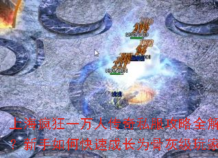 �Ϻ����һ���˴���˽������ȫ�⣿������ο��ٳɳ�Ϊ�ǻҼ����