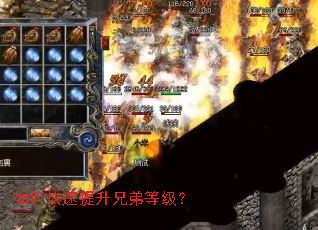 如何快速提升兄弟等级? 如何快速提升兄弟等级?