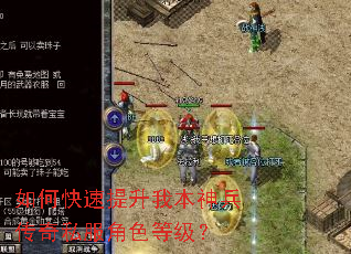 如何快速提升我本神兵传奇私服角色等级? 如何快速提升我本神兵传奇私服角色等级?