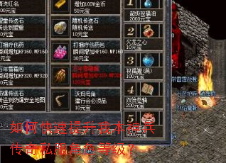 如何快速提升我本神兵传奇私服角色等级? 如何快速提升我本神兵传奇私服角色等级?