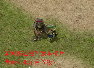 如何快速提升我本神兵传奇私服角色等级? 如何快速提升我本神兵传奇私服角色等级?