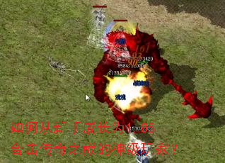 如何从新手成长为1.85合击传奇之巅的神级玩家? 如何从新手成长为1.85合击传奇之巅的神级玩家?