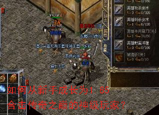 如何从新手成长为1.85合击传奇之巅的神级玩家? 如何从新手成长为1.85合击传奇之巅的神级玩家?