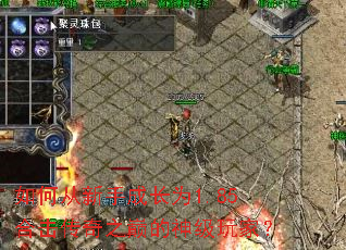 如何从新手成长为1.85合击传奇之巅的神级玩家? 如何从新手成长为1.85合击传奇之巅的神级玩家?