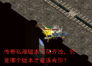 传奇私服版本百花齐放,究竟哪个版本才最适合你? 传奇私服版本百花齐放,究竟哪个版本才最适合你?