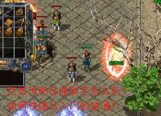 ���鴫��˽��������ô�棿��ο��ٴ����ŵ���ͨ��