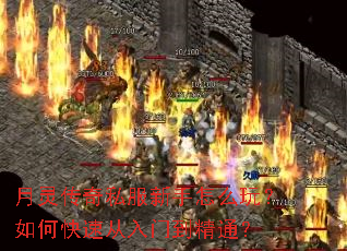 月灵传奇私服新手怎么玩?如何快速从入门到精通? 月灵传奇私服新手怎么玩?如何快速从入门到精通?