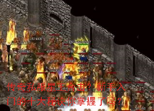 传奇私服星王合击?新手入门的十大秘诀你掌握了吗? 传奇私服星王合击?新手入门的十大秘诀你掌握了吗?