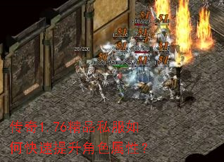 ����1.76��Ʒ˽����ο���������ɫ���ԣ�