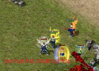 ��ο����������ư��귨��½��