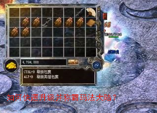 ��ο����������ư��귨��½��