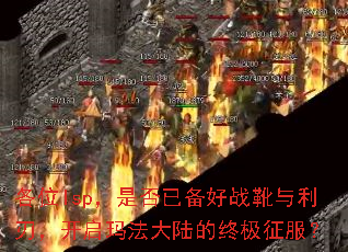 各位lsp,是否已备好战靴与利刃,开启玛法大陆的终极征服? 各位lsp,是否已备好战靴与利刃,开启玛法大陆的终极征服?