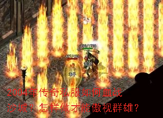 2004�괫��˽�����Ѫսɳ�ǣ����������ܰ���Ⱥ�ۣ�