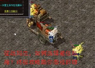 征战玛法,如何选择最佳私服?终极攻略助你傲视群雄 征战玛法,如何选择最佳私服?终极攻略助你傲视群雄