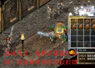 征战玛法,如何选择最佳私服?终极攻略助你傲视群雄 征战玛法,如何选择最佳私服?终极攻略助你傲视群雄