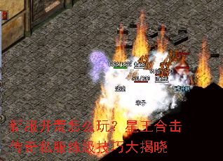 新服开荒怎么玩?星王合击传奇私服练级技巧大揭晓 新服开荒怎么玩?星王合击传奇私服练级技巧大揭晓