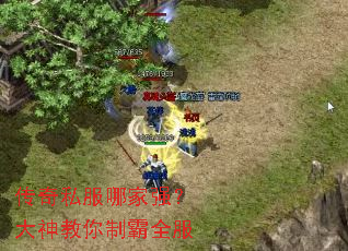 ����˽���ļ�ǿ����������ư�ȫ��