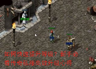 ��ο��������ȼ������ֱؿ�����˽����Ч�����ĵ�