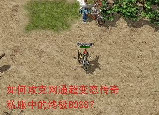 ��ι�����ͨ����̬����˽���е��ռ�BOSS��