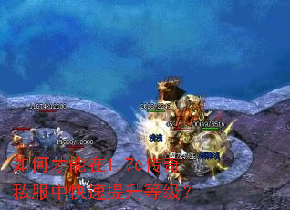 如何才能在1.76传奇私服中快速提升等级? 如何才能在1.76传奇私服中快速提升等级?