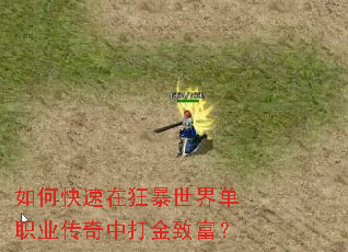 ��ο����ڿ����絥ְҵ�����д���¸���