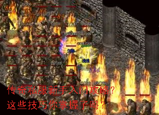 传奇私服新手入门攻略?这些技巧你掌握了吗? 传奇私服新手入门攻略?这些技巧你掌握了吗?
