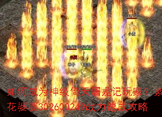 ��γ�Ϊ��������������ң���������������302600249ս���ٳɹ���