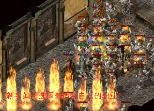 �������ѡ�����ʺ��Լ���ְҵ��