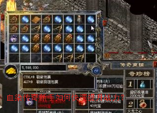 血染传奇新手如何快速提升战力? 血染传奇新手如何快速提升战力?