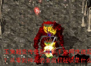 ���ó��䴫��˽��������ο����𲽣����㵽��װ��ȫ�����ؾ���ʲô��