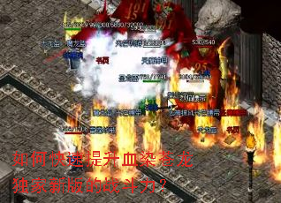 ��ο�������ѪȾ���������°��ս������