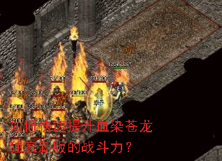 ��ο�������ѪȾ���������°��ս������