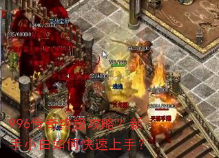 996�����ռ����ԣ�����С����ο������֣�