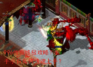 996�����ռ����ԣ�����С����ο������֣�