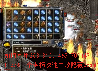 �������263.312��465.70��471.376����������ٻ�������Boss��