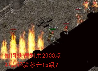 如何快速利用2000点泡点经验秒升15级? 如何快速利用2000点泡点经验秒升15级?