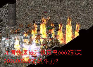 如何快速提升桃花岛6662郭芙202600249的战斗力? 如何快速提升桃花岛6662郭芙202600249的战斗力?