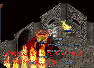 ��ο��������һ���6662��ܽ202600249��ս������